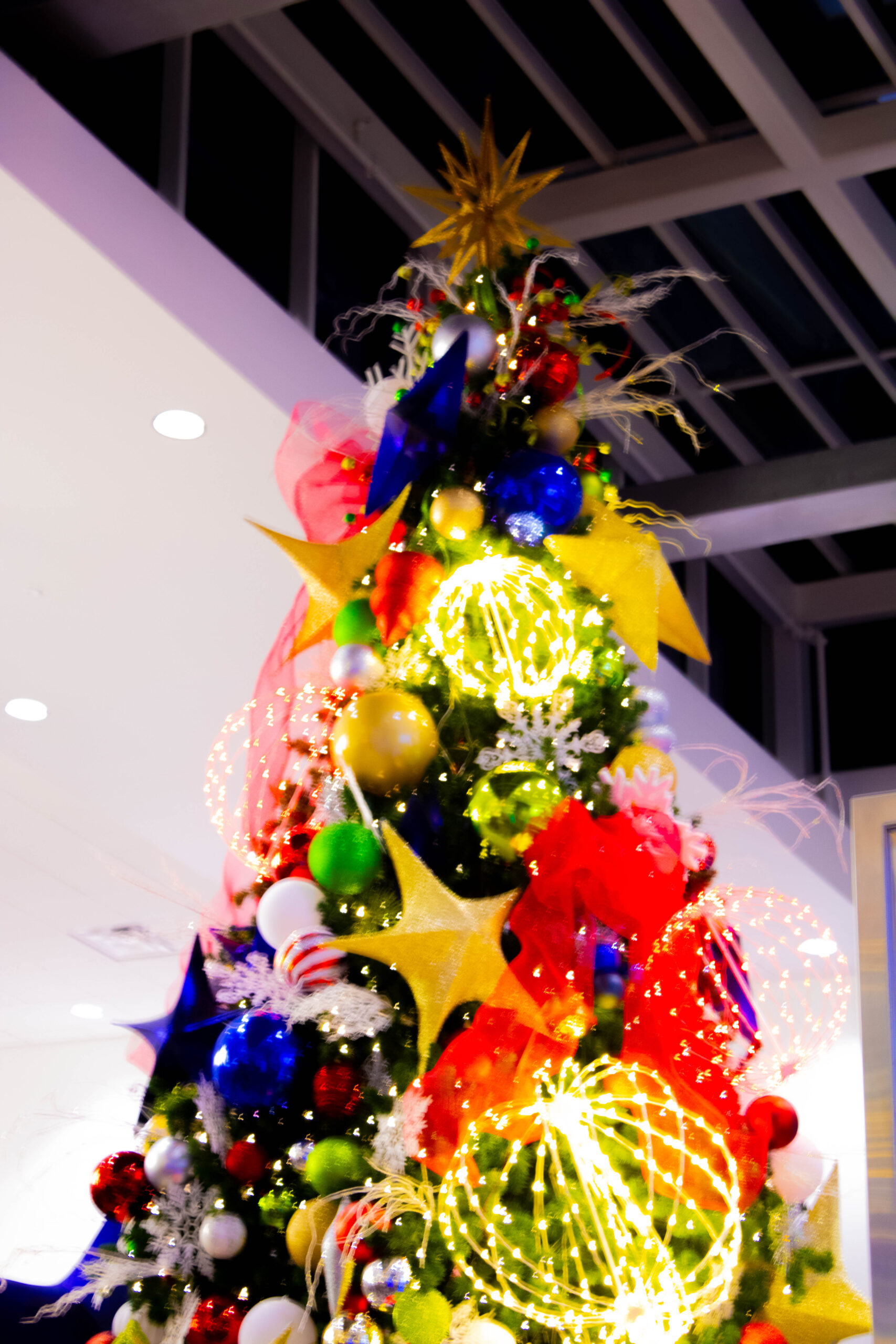 Christmas Lights